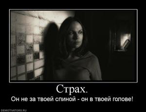 Ищу работу в отделе кадров