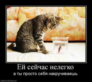 Поиск работы по фирмам