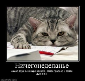 Найти работу в свао, ищу работу шеф повара