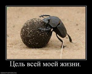 Поиск работы в кузнецке, поиск работы в дубне