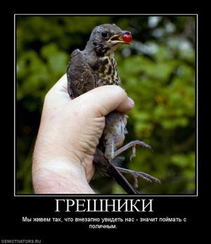 Вакансии строительные работы, ищу работу в тосно