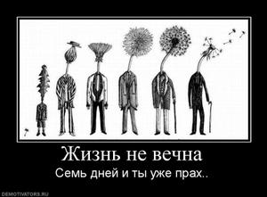 Поиск соискателей работы бесплатно, поиск соискателей работы бесплатно